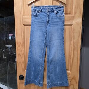 American Eagle Outfitters Light Blue Wide Leg Jeans